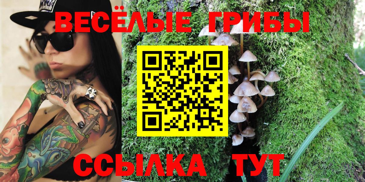 Жигулёвск  Галлюциногенные грибы прущие грибы  Вход с VPN  Галлюциногенные грибы Psilocybe 