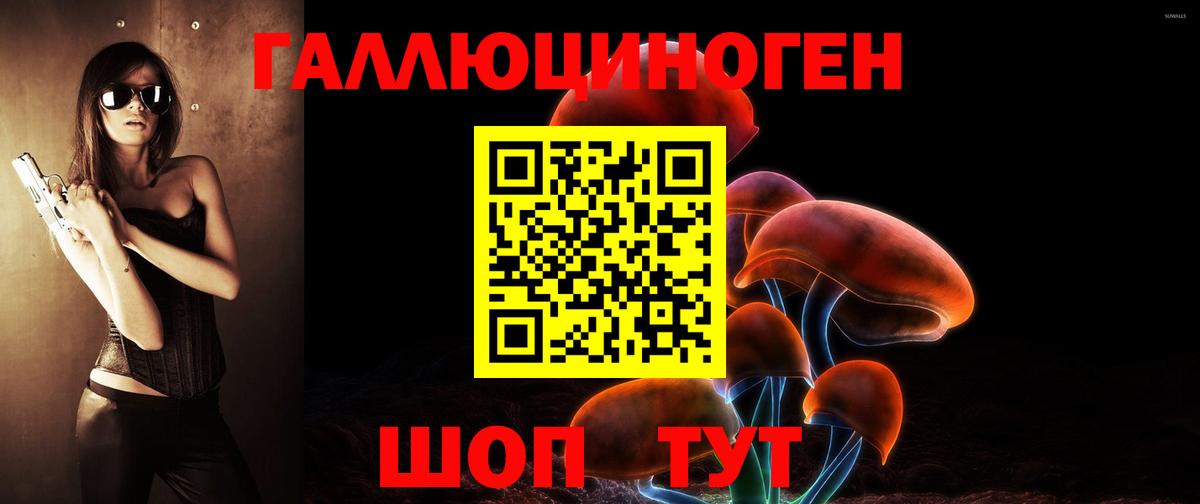 Псилоцибиновые грибы Psilocybe Жигулёвск